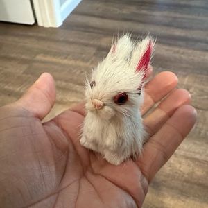 Miniature Furry bunny